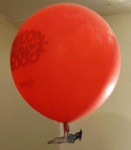 BalloonCraft 2000